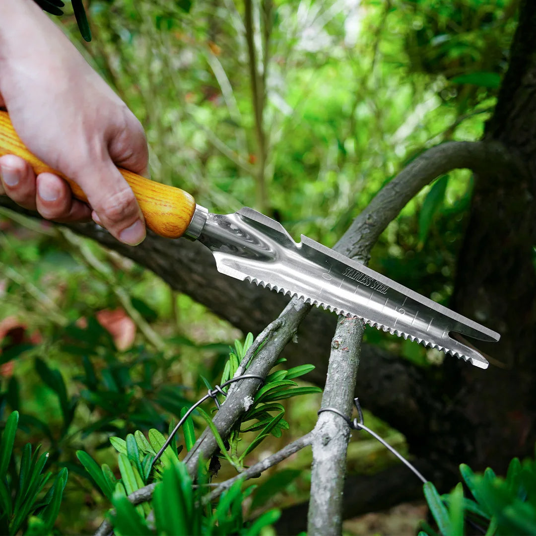 Arrache-Mauvaises Herbes Inox 5 en 1 Manche Hêtre