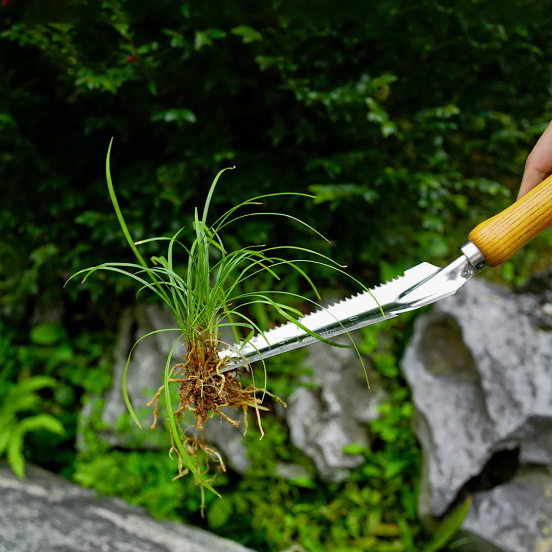 Arrache-Mauvaises Herbes Inox 5 en 1 Manche Hêtre