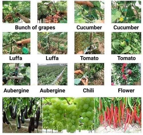 Attaches pour Plantes