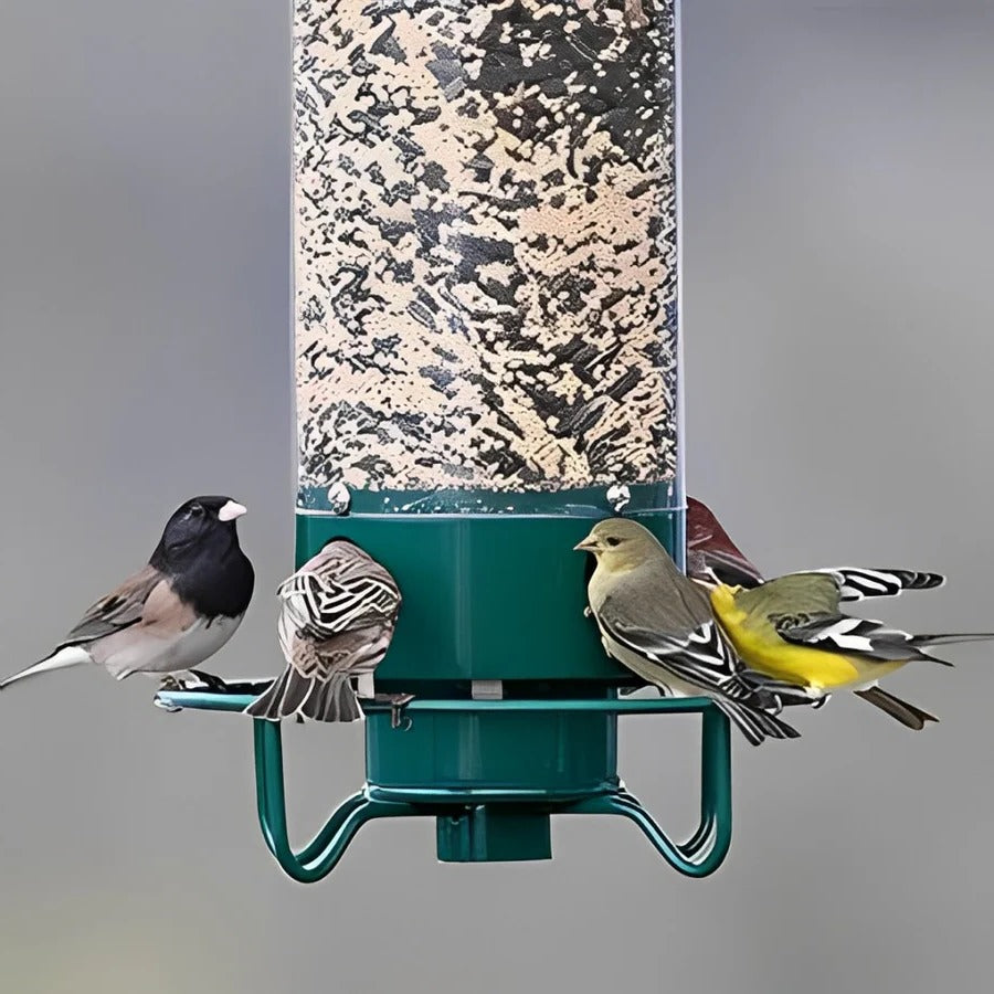 Squirrel-Resistant Bird Feeder with 4 Ports
