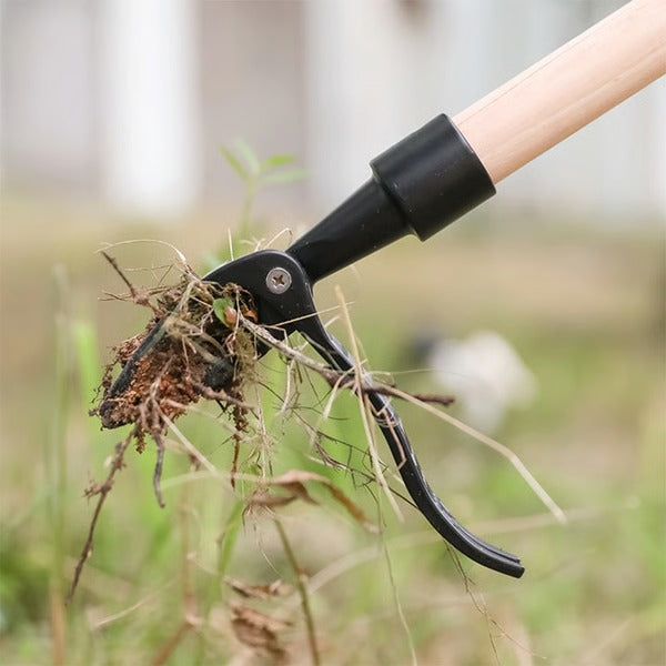 Arrache-Mauvaises Herbes Debout
