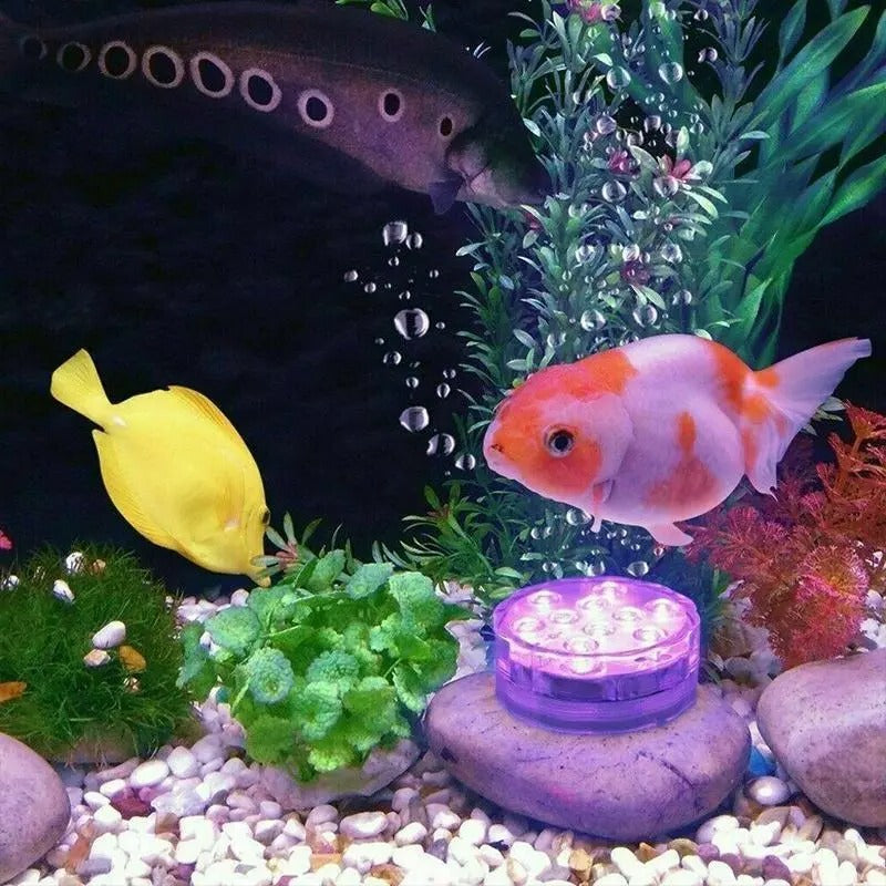 Lumières LED Submersibles
