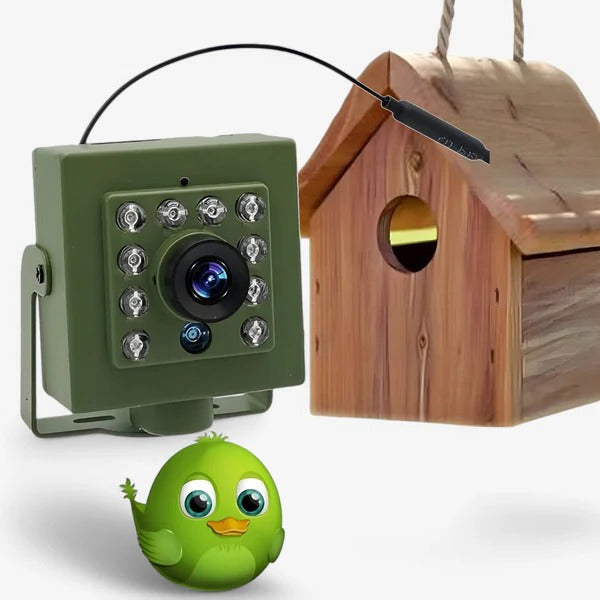 HD WiFi Camera for Bird Nest