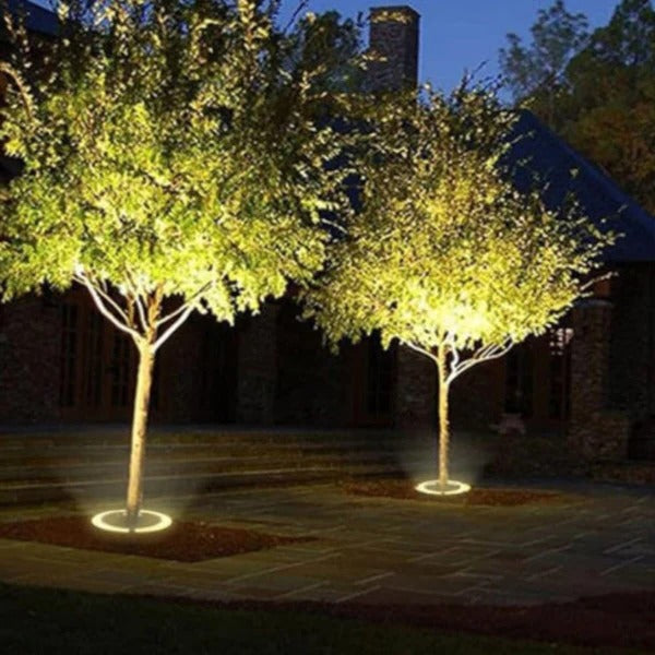 Spot LED pour Arbre