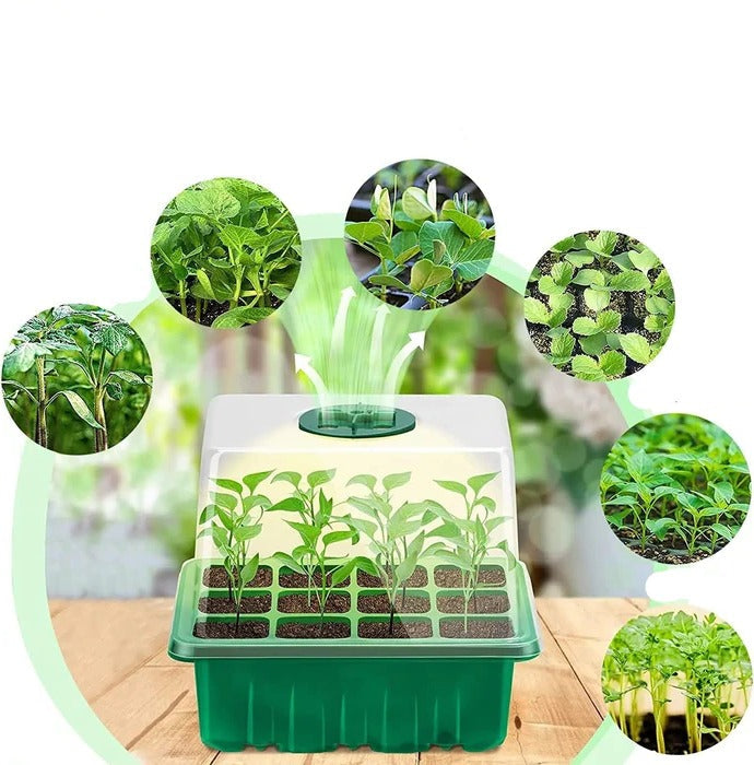 Nursery Pot with Seedling Lamp