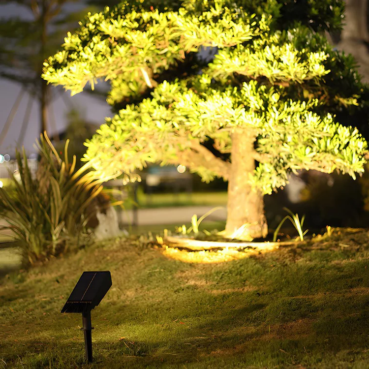 Spot LED Solaire Multi-Zoom Étanche pour Jardin