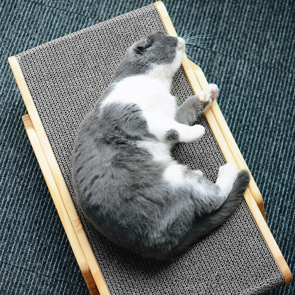 Smatch - Griffoir Design pour Chat
