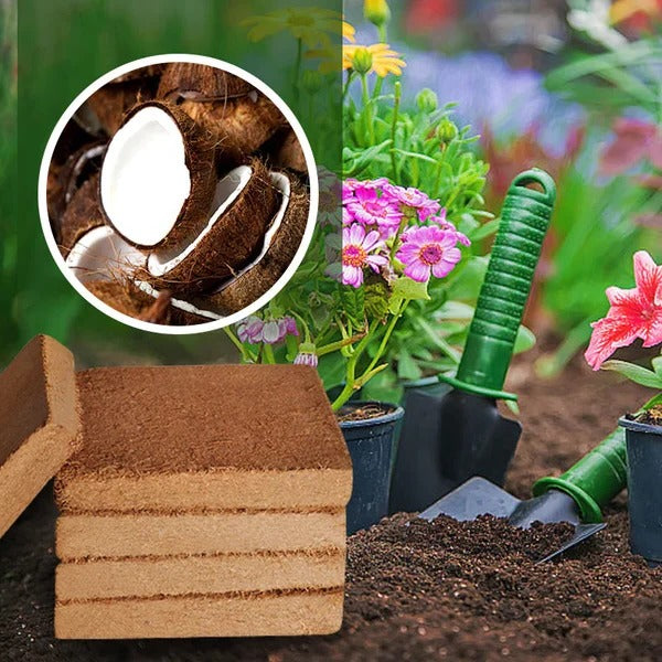 Fibre de Coco Bio pour Plantes