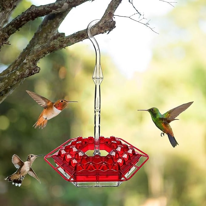 Mangeoire à Colibris Anti-Fourmis à Suspendre