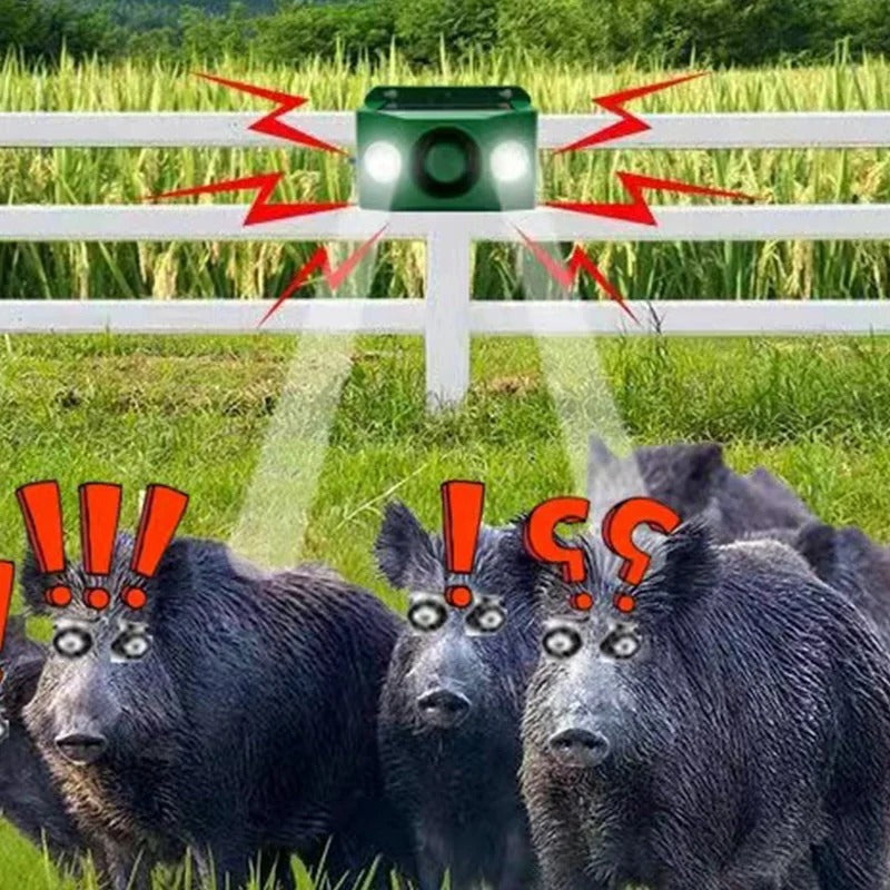 Lumières Solaires d'Avertissement Anti-Animaux