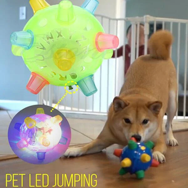 Balle sauteuse LED pour chien, 13 cm