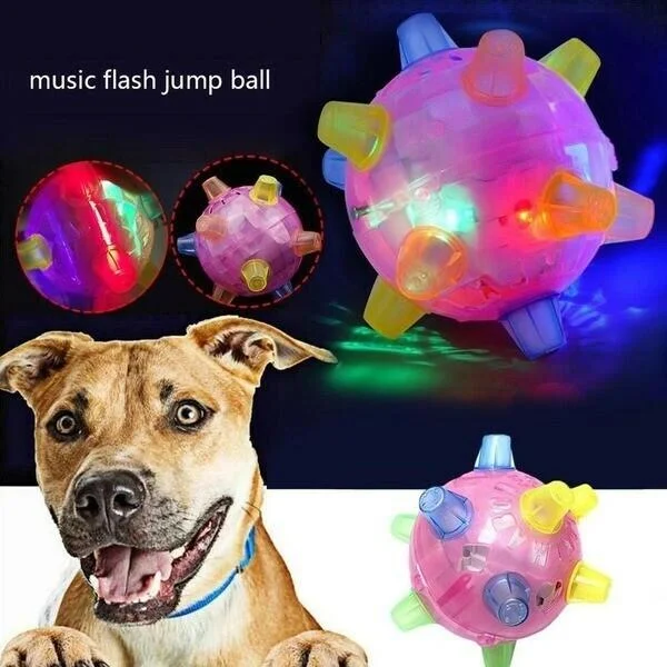 Balle sauteuse LED pour chien, 13 cm