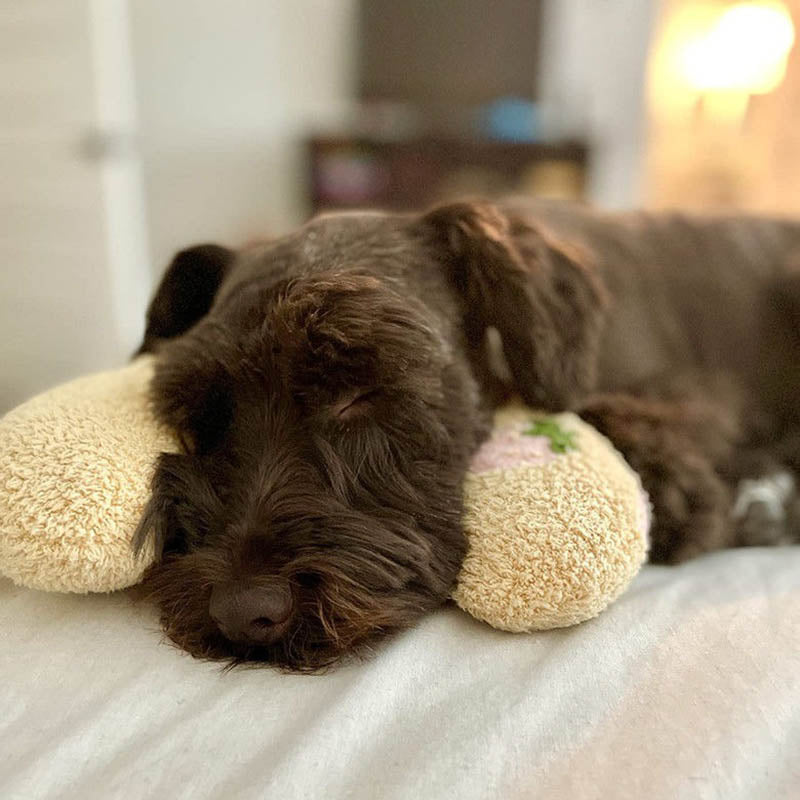 PetEase Luxe - Panier Confort pour Chien