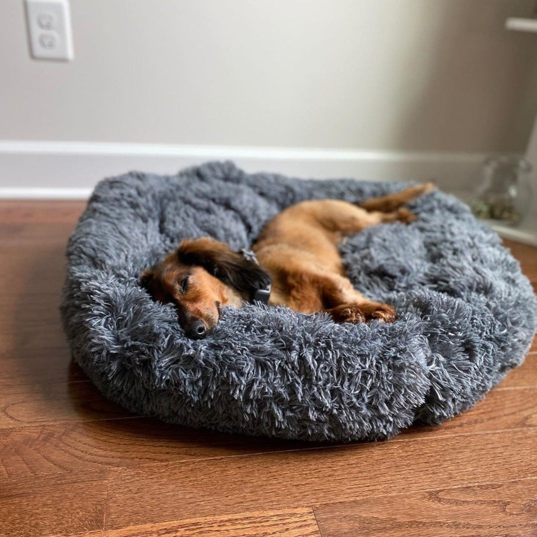 Coussin pour chien en peluche, housse lavable