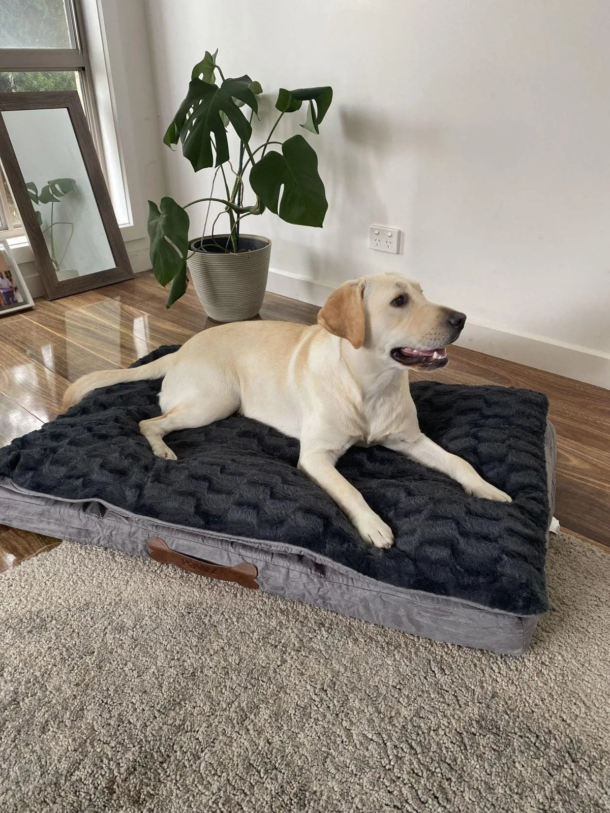 Matelas pour chien en mousse à mémoire de forme