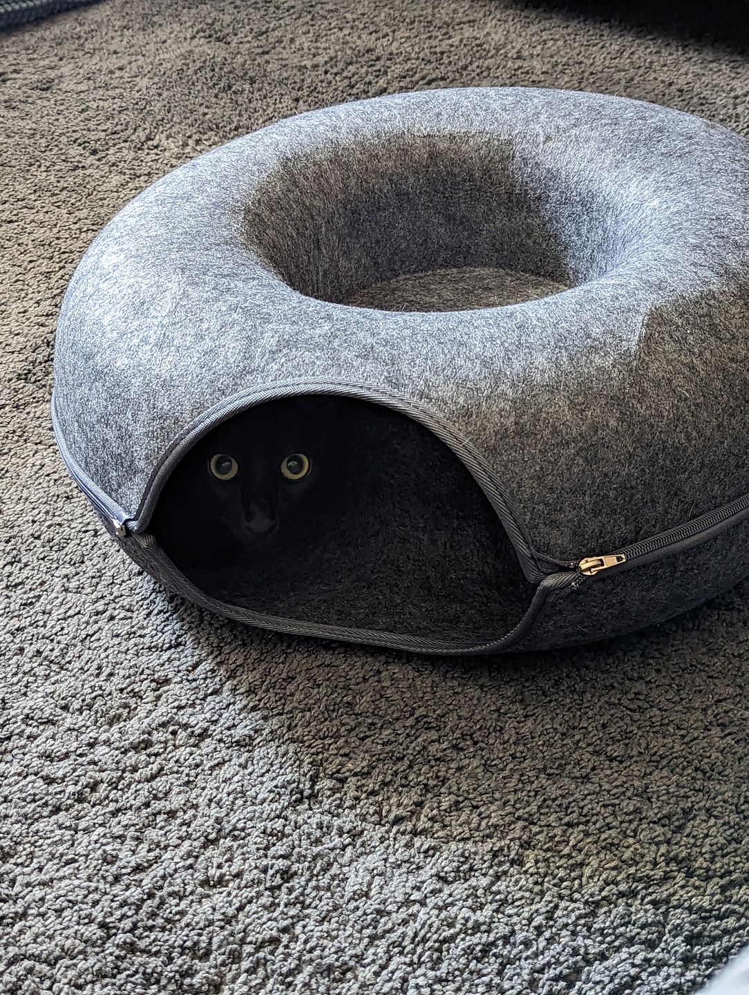 Purrfect Den - Tunnel pour Chat avec Couchage
