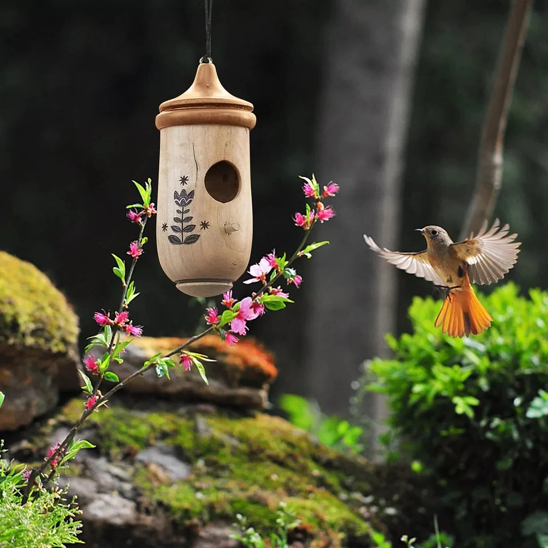 Wooden Hummingbird Nest Box