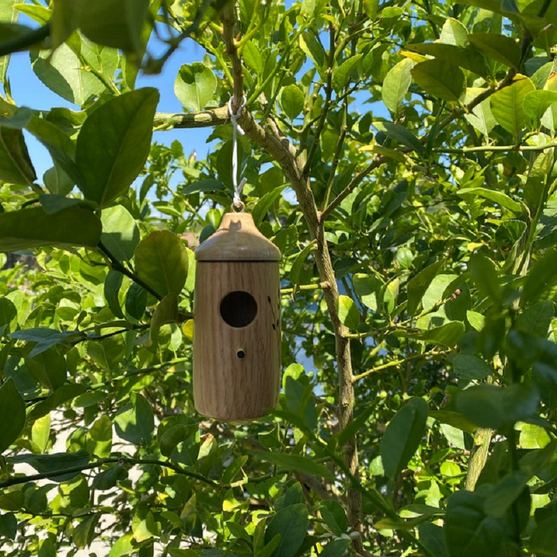 Wooden Hummingbird Nest Box