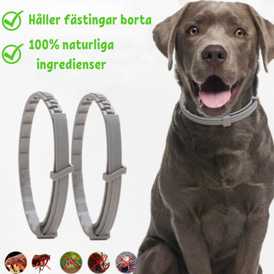 Ticklock Flea and Tick Collar