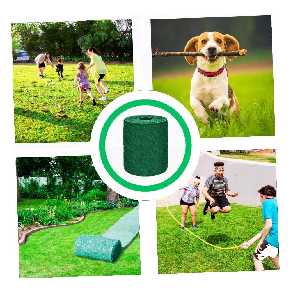 Fast-Growing Grass Seed Mat