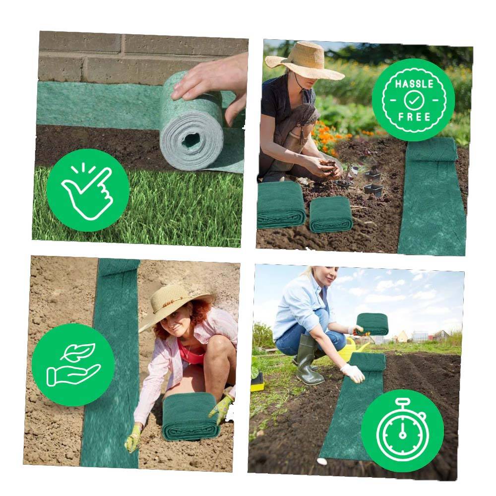 Fast-Growing Grass Seed Mat