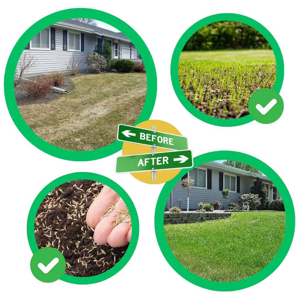 Fast-Growing Grass Seed Mat