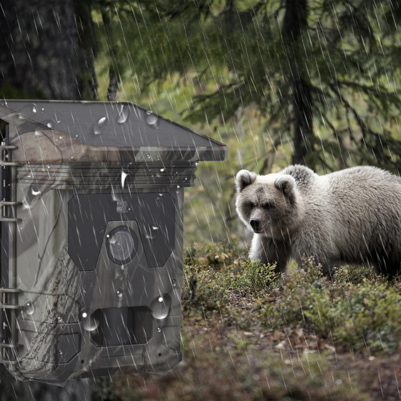 Caméra de Chasse Solaire à Vision Nocturne