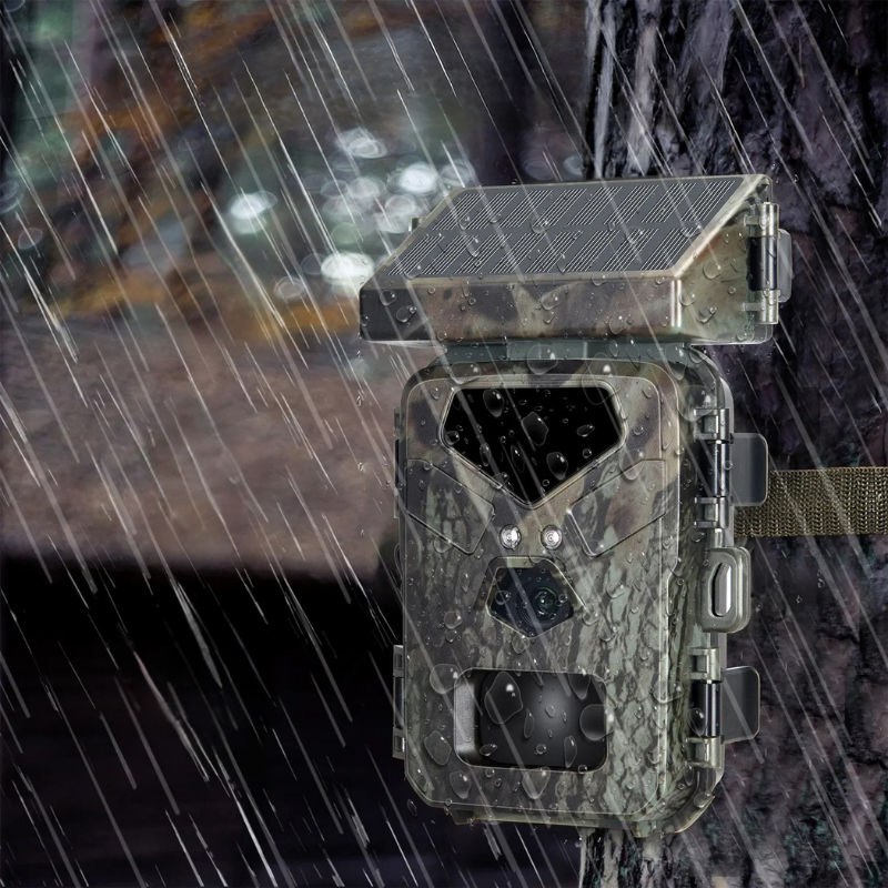 Caméra de Chasse Compacte Solaire