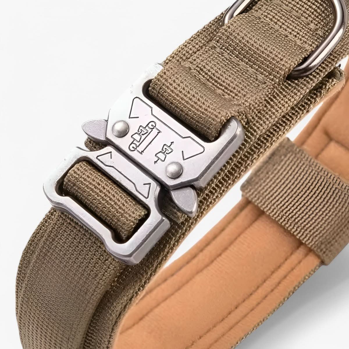 Collier en Nylon Rembourré pour Chien
