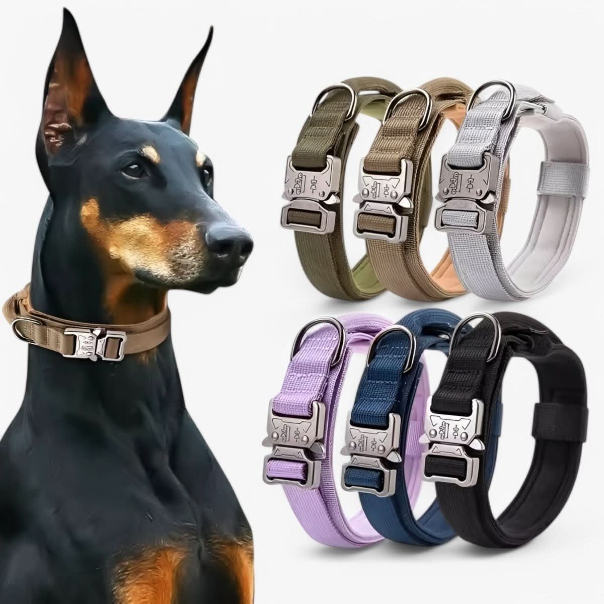 Collier en Nylon Rembourré pour Chien