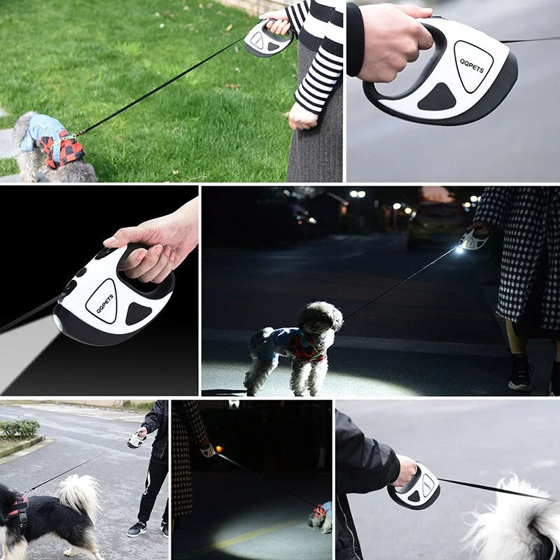 Gleadlit Laisse LED Rétractable pour Chien
