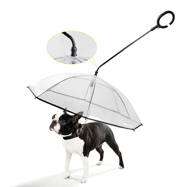 RainGuard - Parapluie Transparent pour Chien