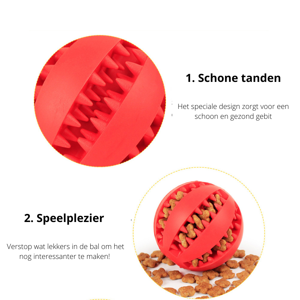 PlayMaster - Balle à Mâcher Interactive pour Chien