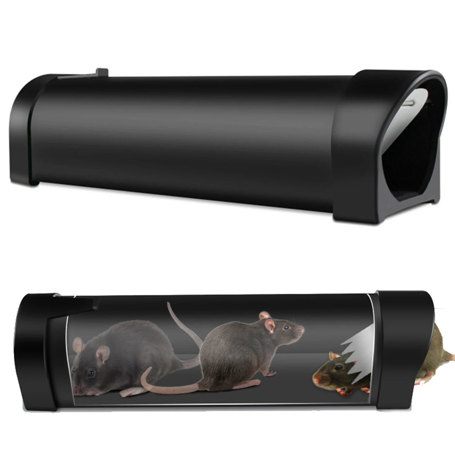 Piège à Souris Humain Capture et Relâche