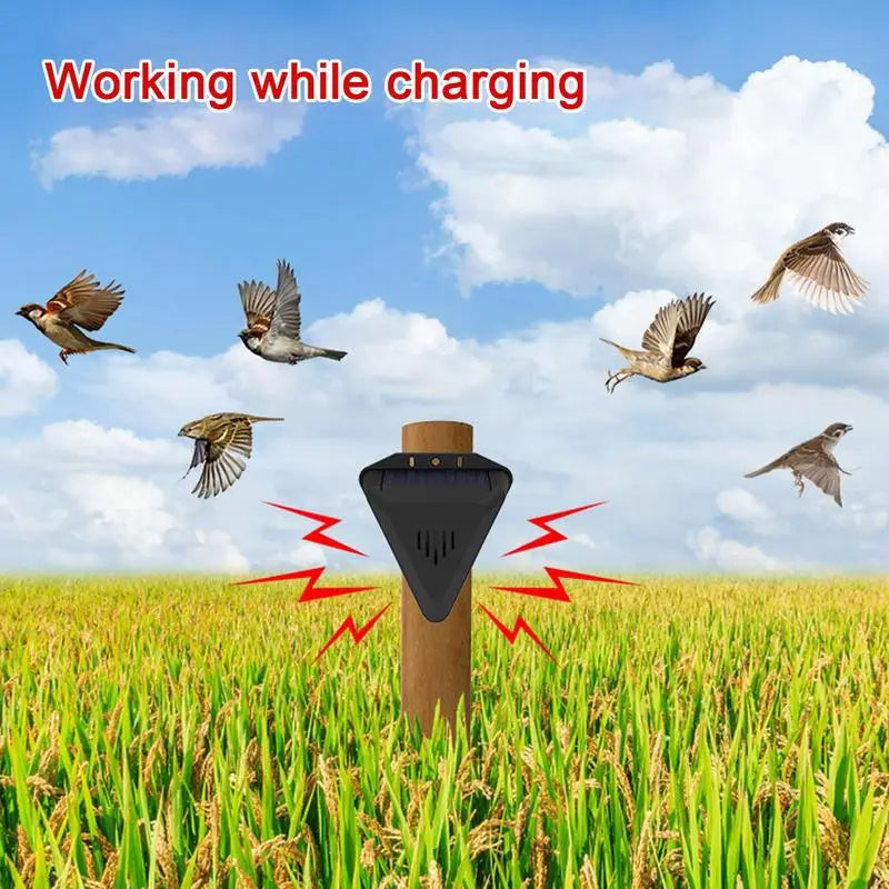Répulsif à Oiseaux Solaire pour Extérieur