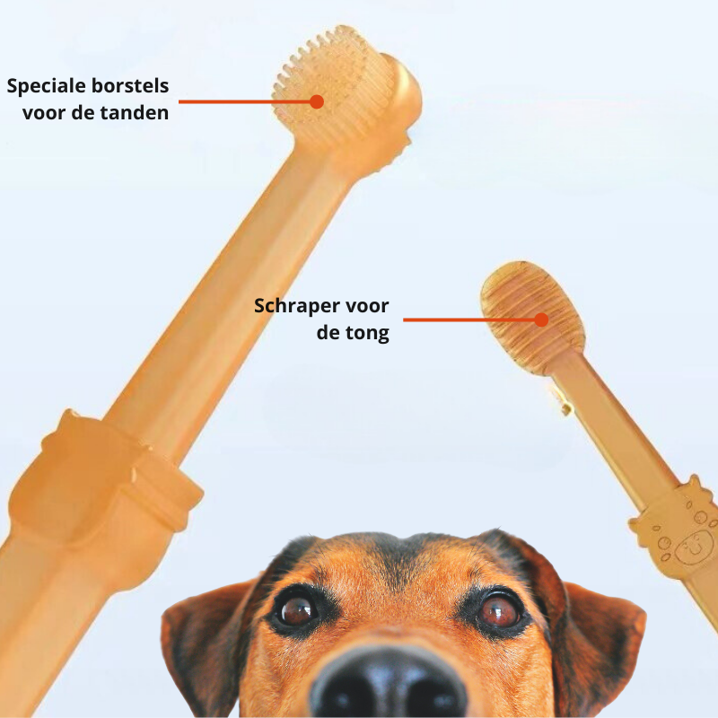 Foambrush Brosse à Dents Doigt pour Chien