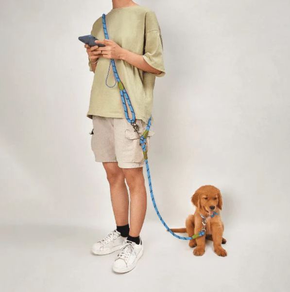 Freelead Laisse Mains Libres pour Chien