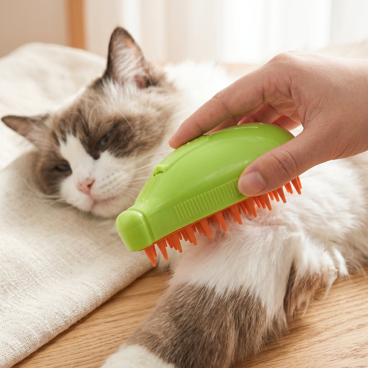Peigne de toilettage à brume pour chien et chat