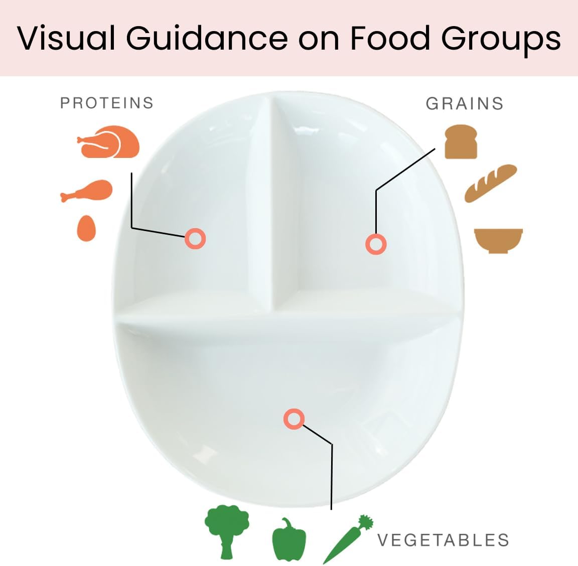 PortionMaster - Assiette à Compartiments en Porcelaine