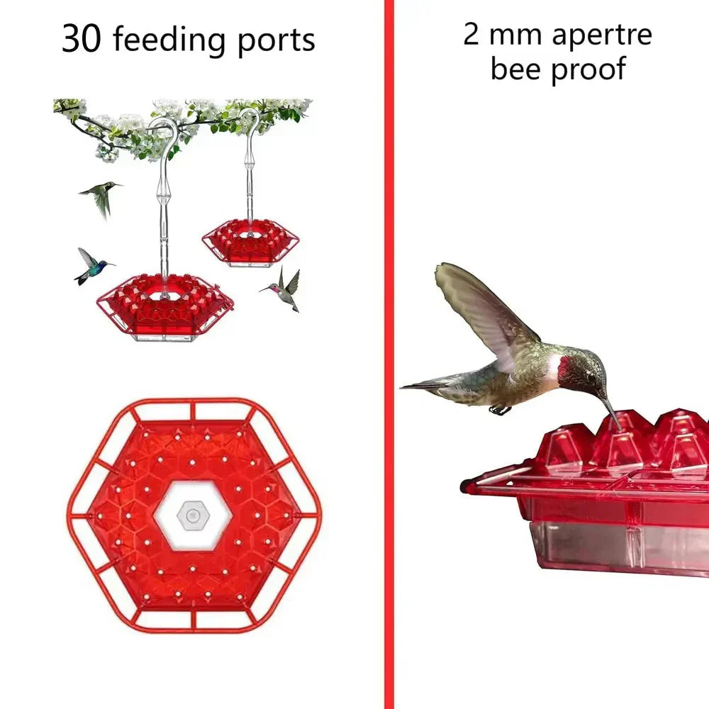 Hummingbird Feeder with Ant Protection, Hanging
