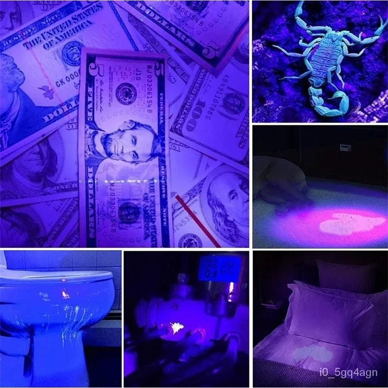 Lampe UV torche détecteur de taches et punaises