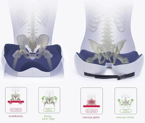 Coussin d'Assise Ergonomique en Mousse à Mémoire
