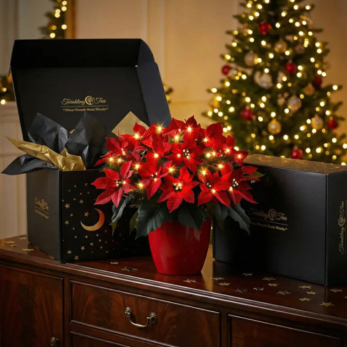 Lighted Red Artificial Poinsettia