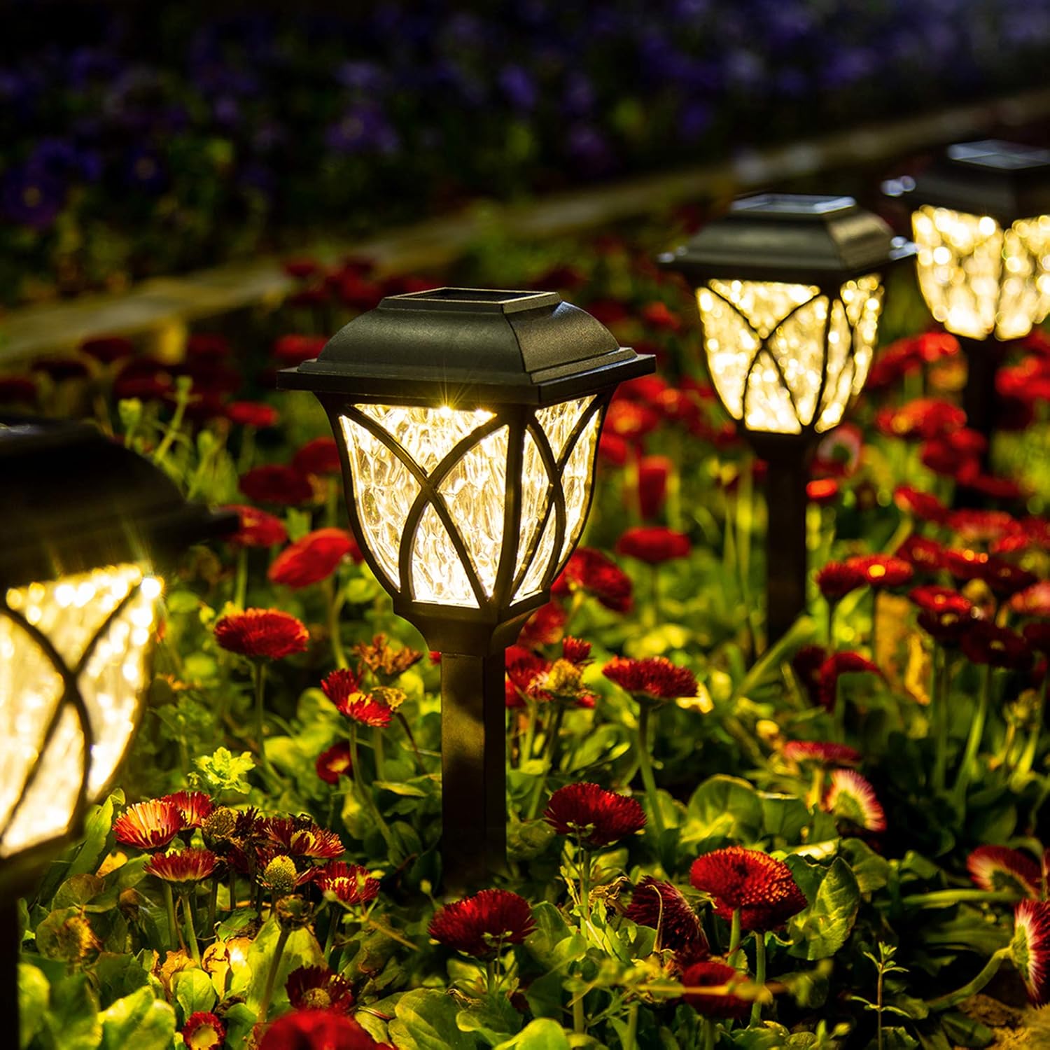 Lampes Solaires LED d'Allée - Lot de 6