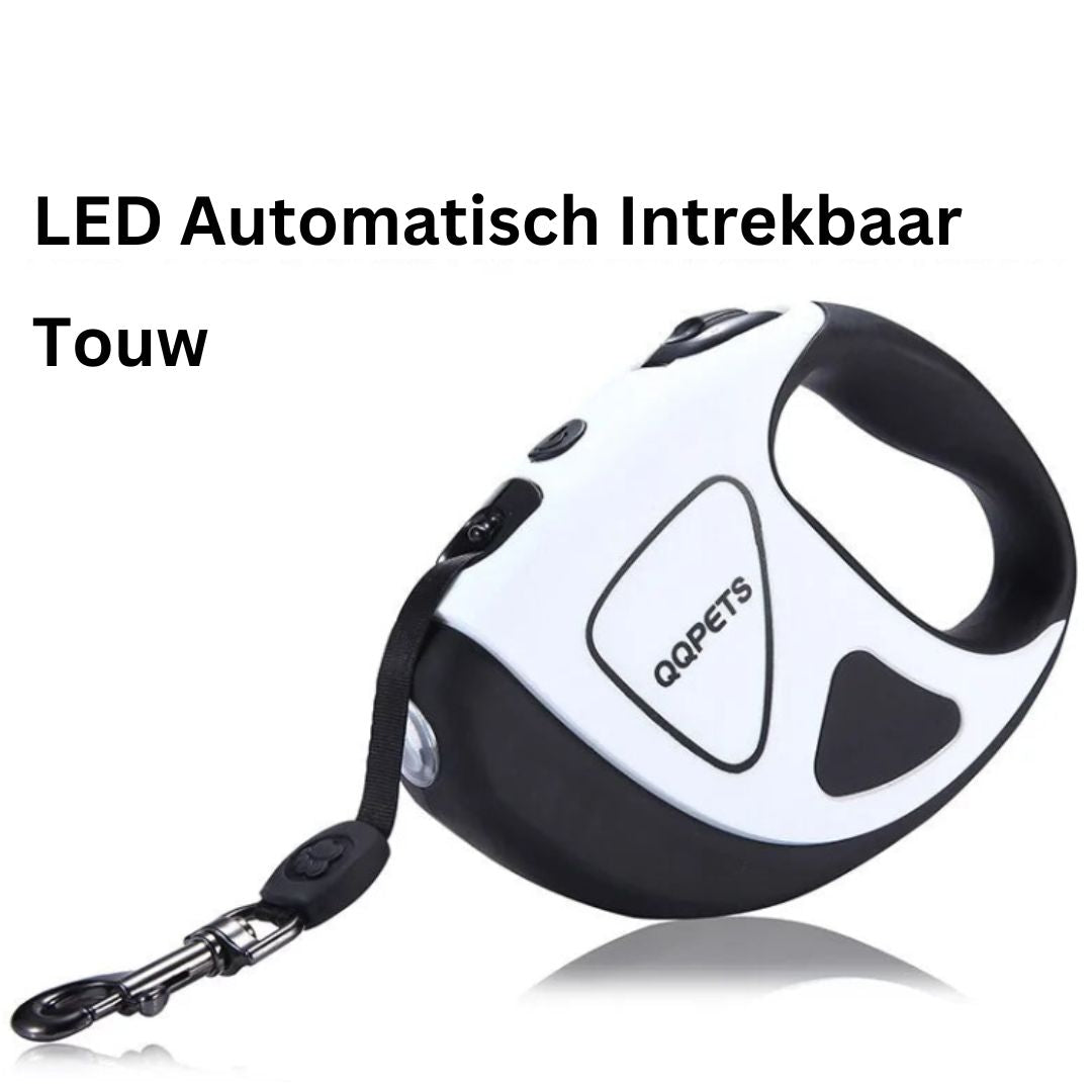 Gleadlit Laisse LED Rétractable pour Chien