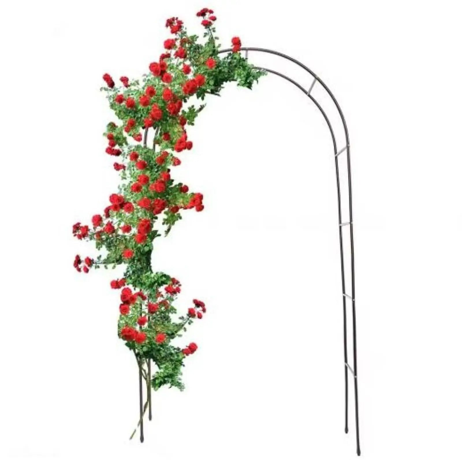 Arche de Jardin Élégante en Fer pour Plantes Grimpantes | Décoration Romantique et Multifonctionnelle 0