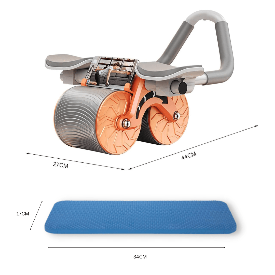 Rollignite Roue Abdominale Entraînement Intensif