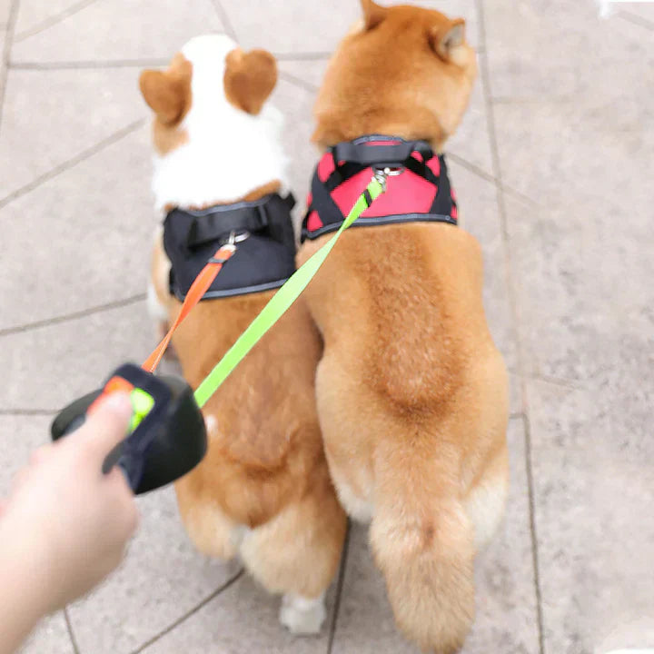 Doublelead Retractable Dual Dog Leash