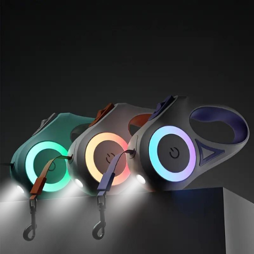 Lumilead Laisse LED pour Chien