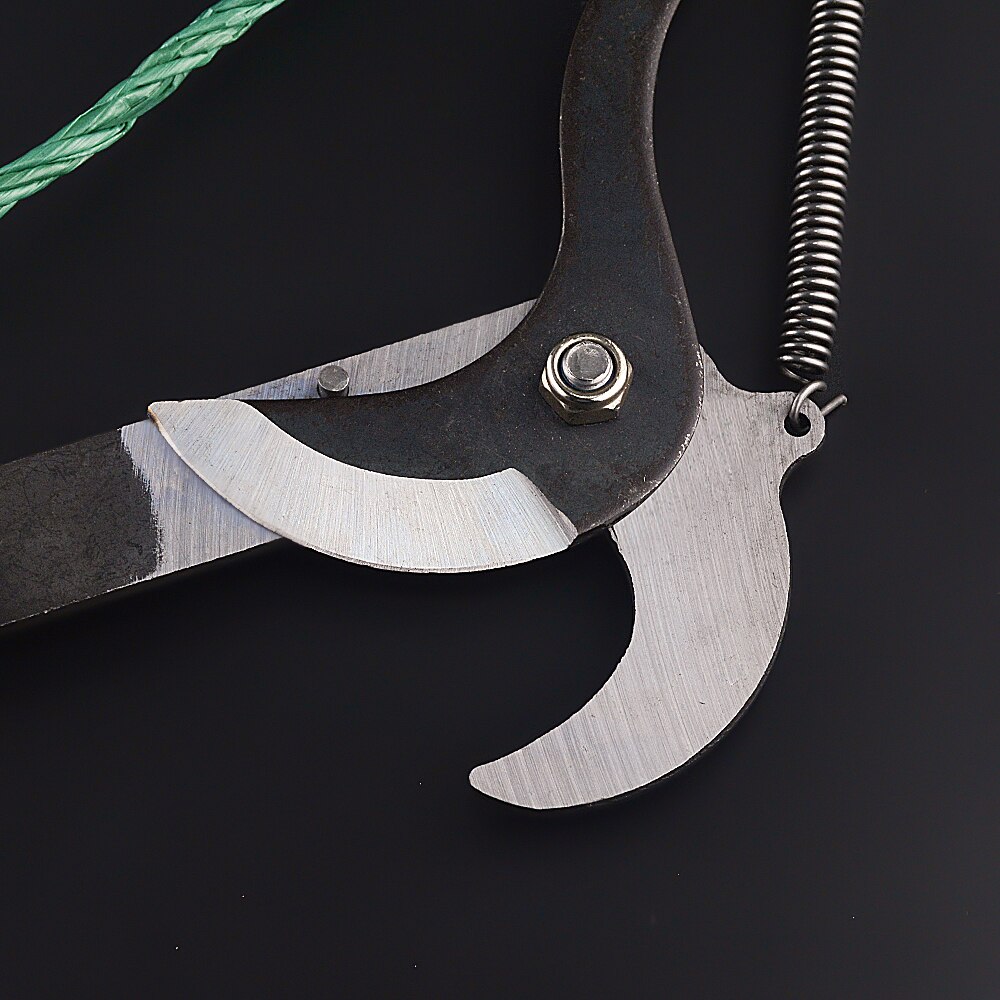 Long-Reach Telescopic Pruner